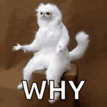 Why meme